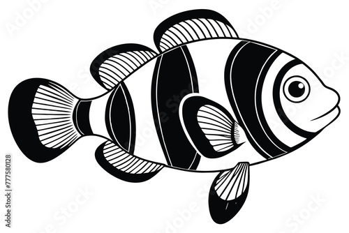 black and white clown fish vector