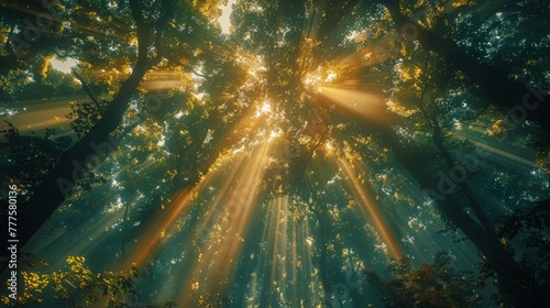 Lush Green Forest Landscape