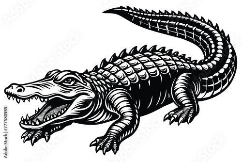 black and white crocodile vector