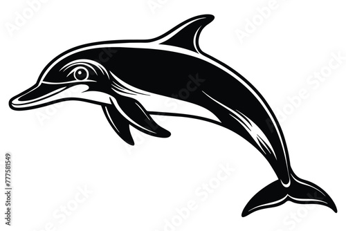 black and white dolphin vector