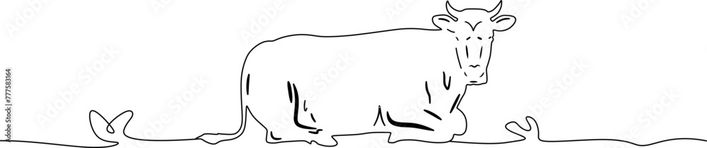 Fototapeta premium line art cow