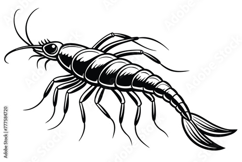 krill vector