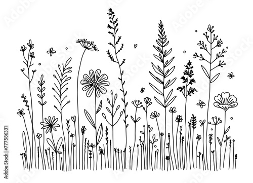 Doodle summer meadow flower, herbs, plants and insects vector boarder . Line art style blossom background.