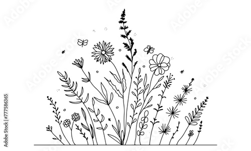 Doodle summer meadow flower, herbs, plants and insects vector boarder . Line art style blossom background. photo