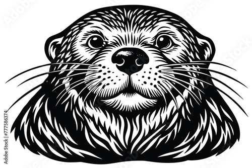 sea otter vector