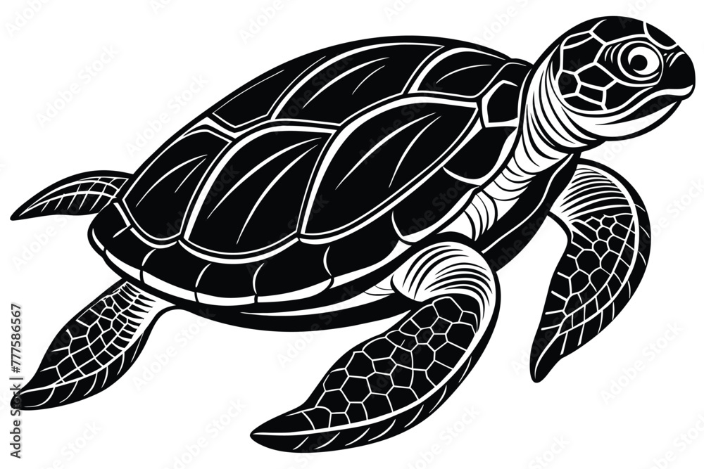 Fototapeta premium sea turtle vector