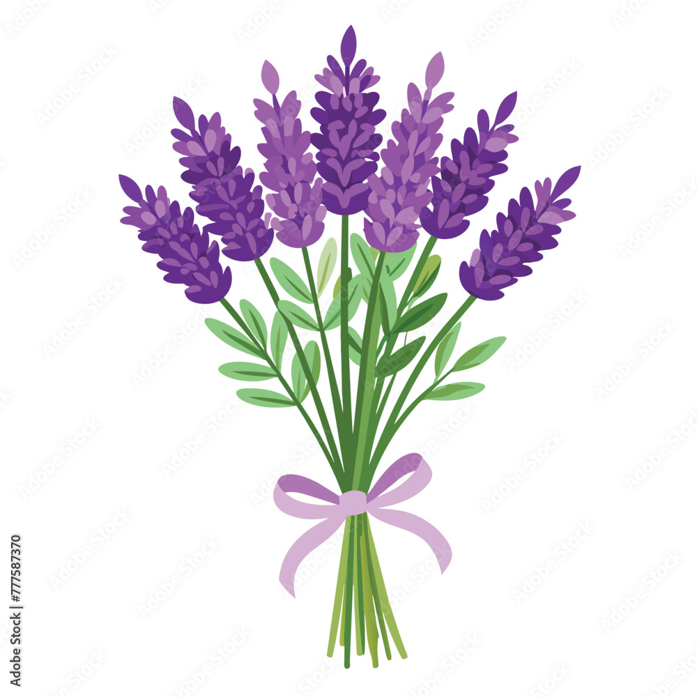 spring of lavender vector on isolated background