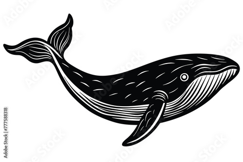 black whale vector isolated on white