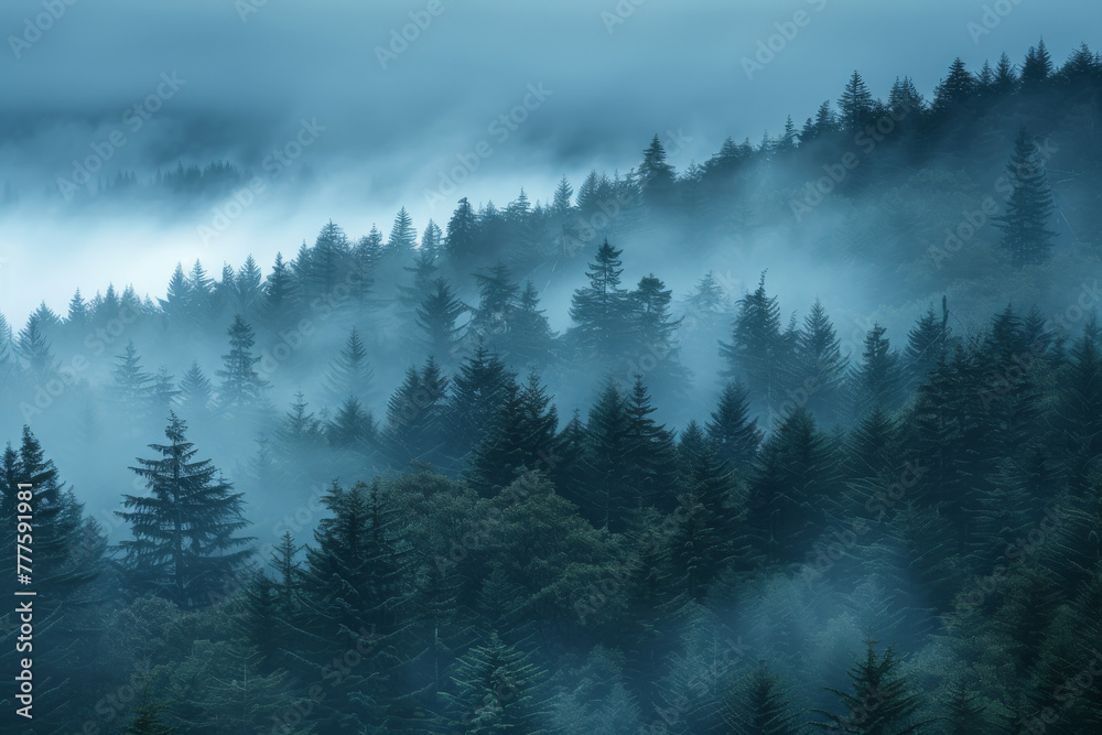 Forest shrouded in mist, emanating a sense of tranquility and mystery