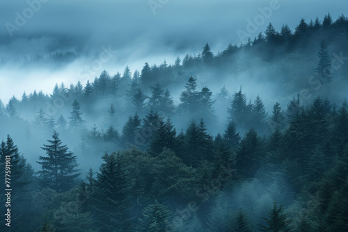 Forest shrouded in mist, emanating a sense of tranquility and mystery © smth.design