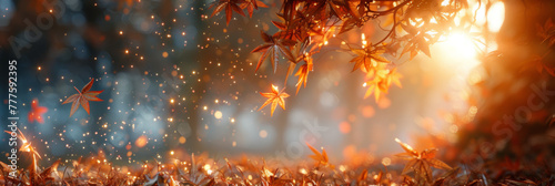 Autumn Leaves in Enchanted Forest with Golden Sunlight