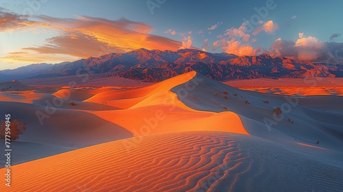 Desert Sunset