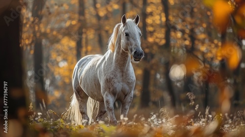 Horse Galloping Through Tall Grass