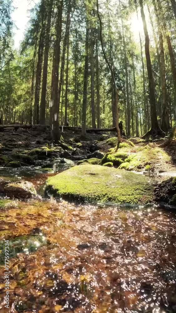 Man taking clear drinking water from a stream in forest. Close-up hand. Nuuksio National Park, Finland. Sunny summer day in forest. Beautiful spring water running in rocks. With the sounds of nature Man taking clear drinking water from a stream in forest. Close-up hand. Nuuksio National Park, Finland. Sunny summer day in forest. Beautiful spring water running in rocks. With the sounds of nature