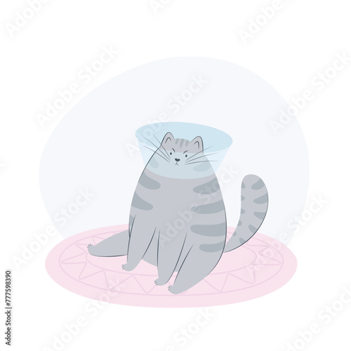 A disgruntled cat sits in a plastic vet collar. Cat behavior, body language and face expressions. Flat vector illustration of a pet