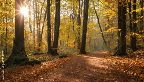A serene autumn path blanketed with fallen leaves winds through a golden forest, basking in the warm glow of a setting sun peeking through the trees. © video rost
