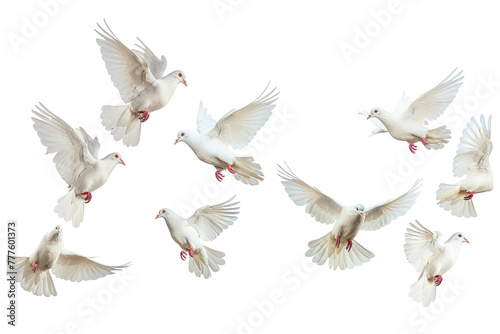 flying doves on an isolated transparent background © Rushi