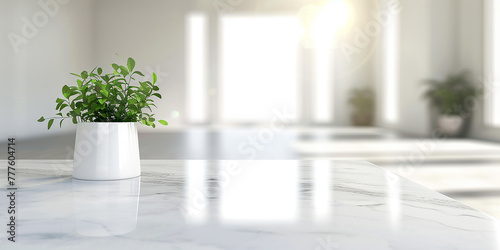 Vase and plant isolated on white marble table and blurred windows background with copy space, apartment or kitchen or living room interior design © The CopySpace Stock