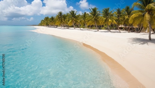 Pristine tropical beach with a vibrant blue ocean gently lapping against a white sandy shore  lined by a row of lush green palm trees under a clear sky