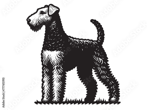 Airedale Terrier, Waterside Terrier, Bingley Terrier, Irish Red Terrier. Dog. Beautiful engraving monochrome vector illustration. Icon, logo, isolated object