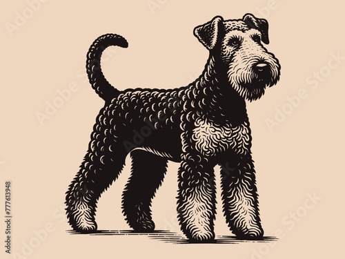 Airedale Terrier, Waterside Terrier, Bingley Terrier, Irish Red Terrier. Dog. Beautiful engraving monochrome vector illustration. Icon, logo, isolated object