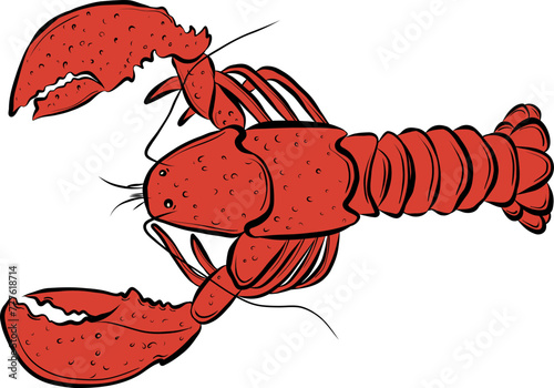 Seafood hand drawn sketch vector illustration for poster, print, home decoration, menu cover, invitation, design template.  Lobster 