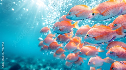  A school of small orange fish swim in a clear blue body of water  emitting bubbles at the water s bottom