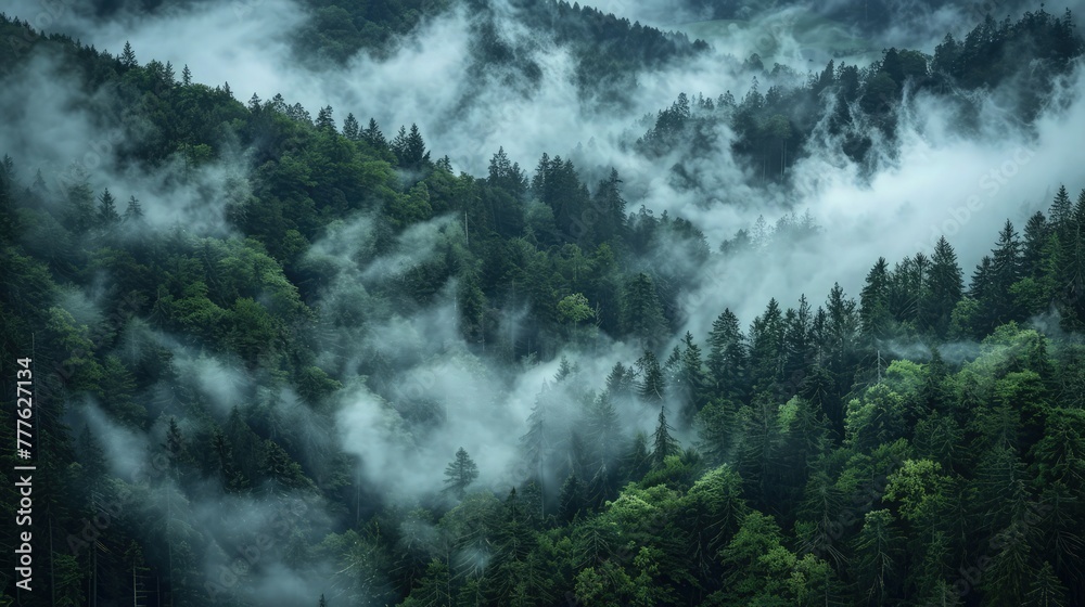 A mesmerizing image of the Black Forest with fog rising from the moist forest floor, swirling among the dense trees and creating a hauntingly beautiful landscape.