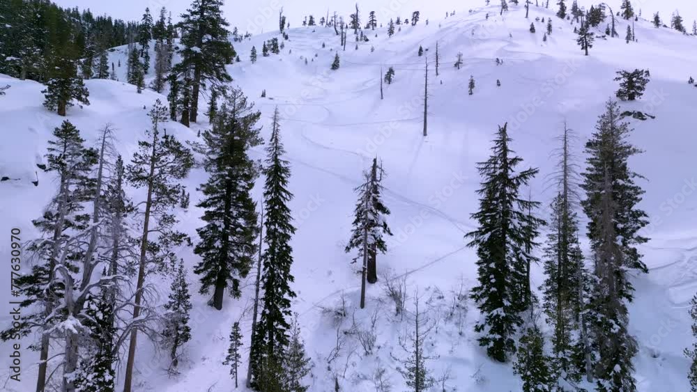 Aerial view of Eagle Lake mountains ski lines in snow