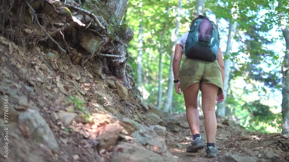Hiker girl, woman outdoors in mountain forest, nature walking, strolling, wandering at the woods on winter. Hiker girl, woman outdoors in mountain forest, nature walking, strolling, wandering at the woods on winter.
