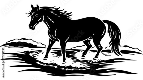 horse in the desert
