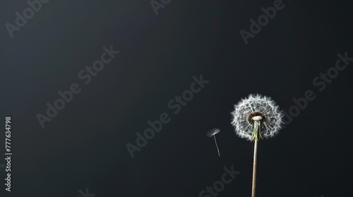 A minimalist composition featuring a solitary dandelion standing tall against a stark black background  its seed suspended in the air  Plenty of copy space  real photo  stock photography generative ai