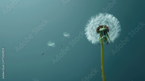A minimalist composition featuring a solitary dandelion standing tall against a stark black background  its seed suspended in the air  Plenty of copy space stock photography generative ai image