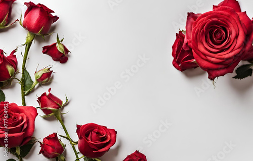 Flat lay red rose flowers pattern on white
 photo