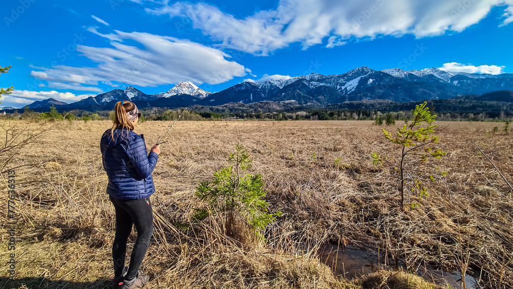 Woman holding pussy willows in spring with scenic view of majestic snow capped mountain peak Mittagskogel in Karawanks, Carinthia, Austria. Landscape of Finkensteiner Moor covered by dry golden grass