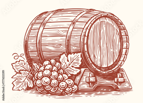 Vector hand drawing grape and old wooden wine barrel. Oak barrel sketch. Vintage illustration