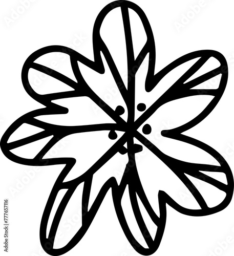 Daisy Flower Illustration