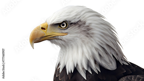  A regal profile of an American bald eagle against a gleaming white solid background, showcasing its dignified silhouette in exquisite detail  © H7 CLUB