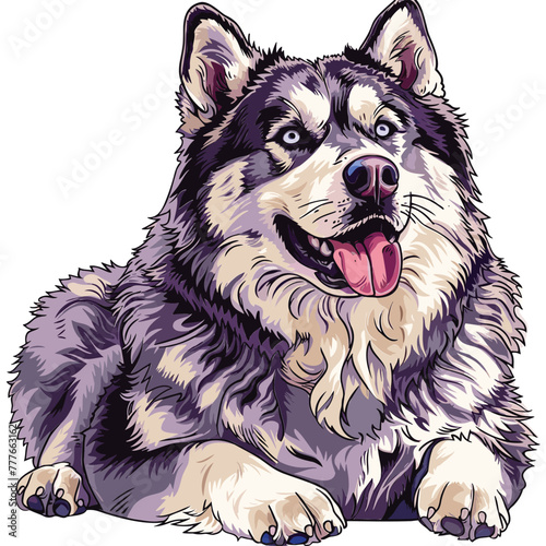 Siberian Husky dog adorable art vector illustration