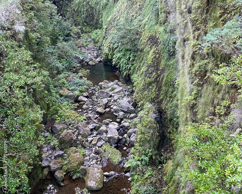 gorge with stream in the mountains