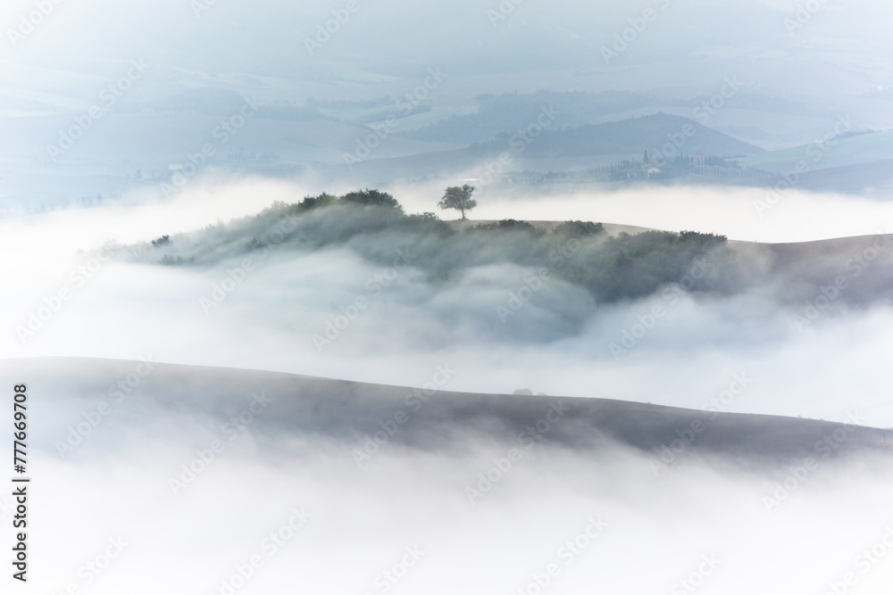 Mystical landscape of Italian Tuscany with lonely trees in the middle of rolling fields in thick fog