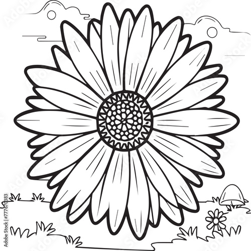 Fototapeta Naklejka Na Ścianę i Meble -  Daisy flower coloring pages. Daisy outline vector for coloring book