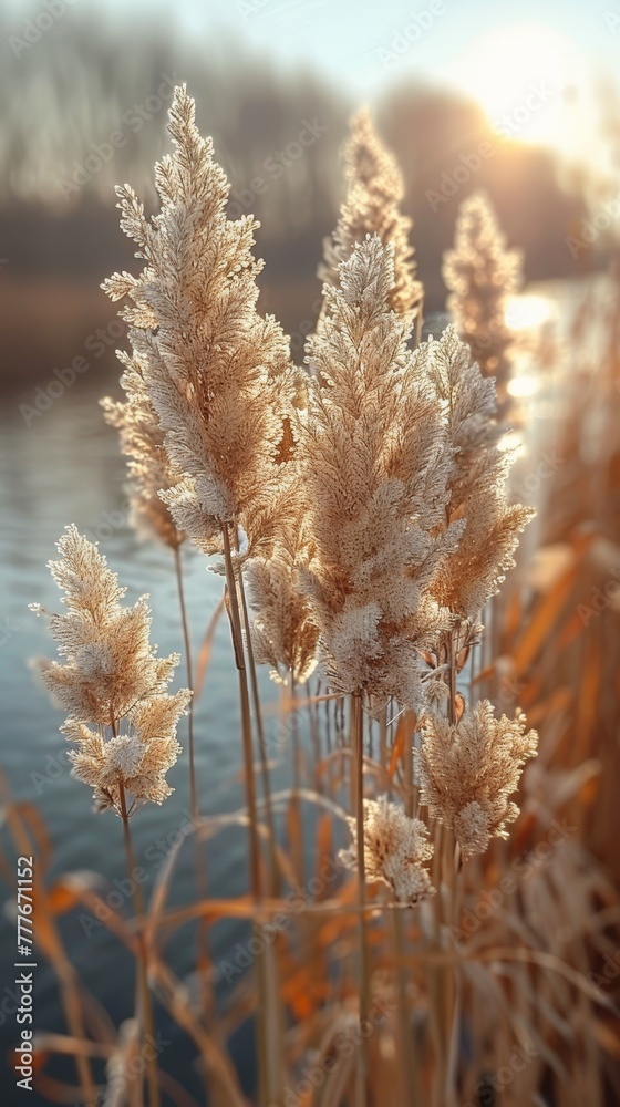Serene Lakeside Meadow Generative AI Serene Lakeside Meadow Generative AI