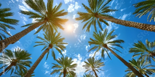 A beautiful tropical scene with palm trees and a bright blue sky. The sun is shining brightly  creating a warm and inviting atmosphere