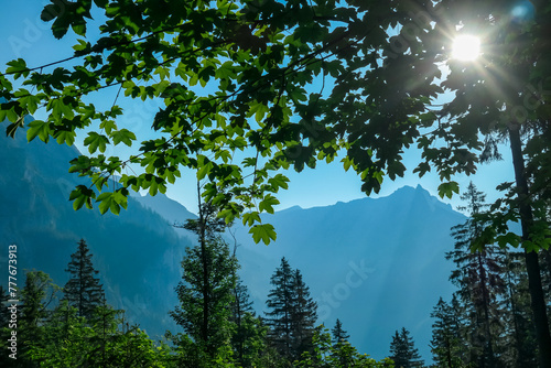 Hiking trail in dense alpine forest with scenic view of majestic mountains of Hochschwab Region, Upper Styria, Austria. Looking through tree branches on remote Austrian Alps, Europe. Hike wilderness photo