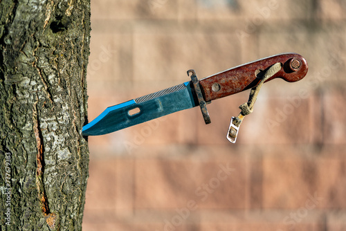 Military old bayonet knife in a tree, closeup, outdoors. Bayonet-knife made during the Soviet Union