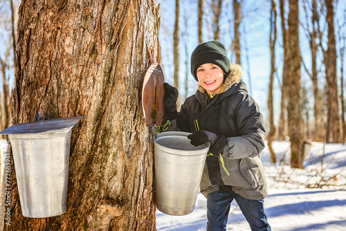 Canvas Print sugar shack, child having fun at mepla shack forest collect maple water