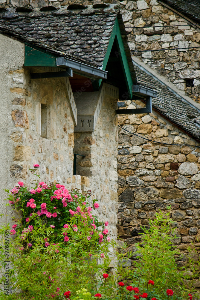 Old building with pink and red rose plants in the garden in front of stone walls in summer in France.