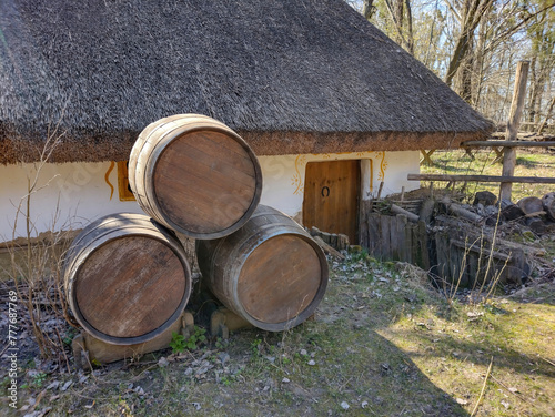 Old wooden houses with a thatched roof. Early spring landscape.