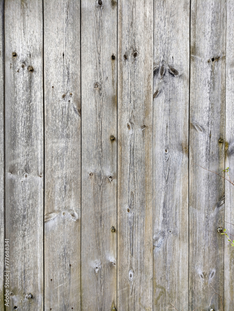 Texture of old wood wall, fence. Texture of old wood wall, fence.